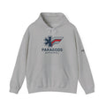 Paragods Graphic Hoodie - Unisex Heavy Blend™